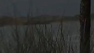 loz lorrimar Vorschaubild