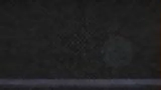 leya falcon Vorschaubild